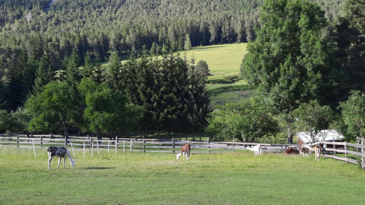 Appartamento Naturidyll Brunner Kostendorf Esterno foto